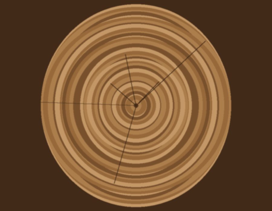 Timber log cross-section showing annual rings